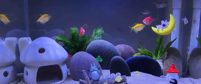 info-691-290 info-691-290